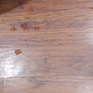 Meet your Posher, Marcos